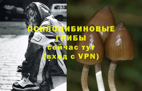 дмт Медвежьегорск