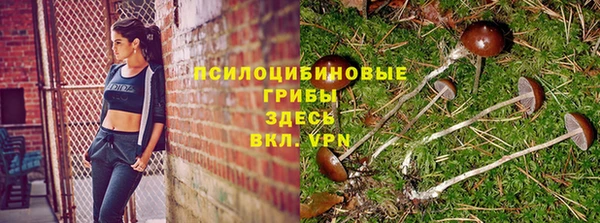 не бодяженный Мегион
