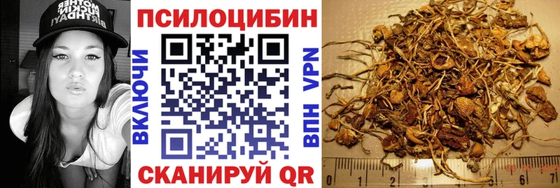 мориарти официальный сайт  Благовещенск  Псилоцибиновые грибы Psilocybe 