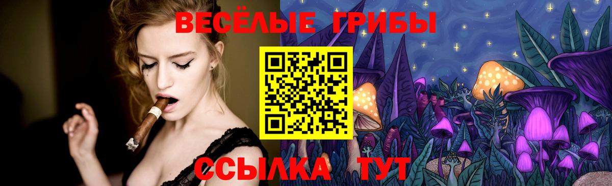 Псилоцибиновые грибы Psilocybine cubensis  Вход с VPN  Благовещенск 